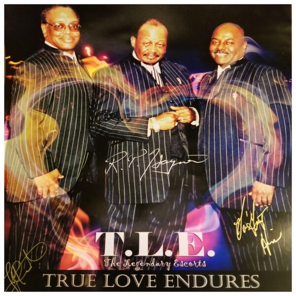 Cover art for True Love Endures